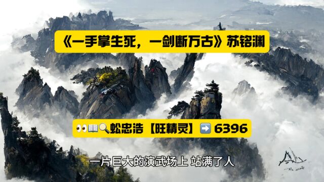 玄幻火书《一手掌生死,一剑断万古》苏铭渊全文TXT阅读◇无弹窗