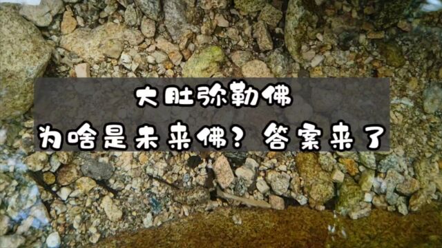 大肚弥勒佛为啥是未来佛?答案来了