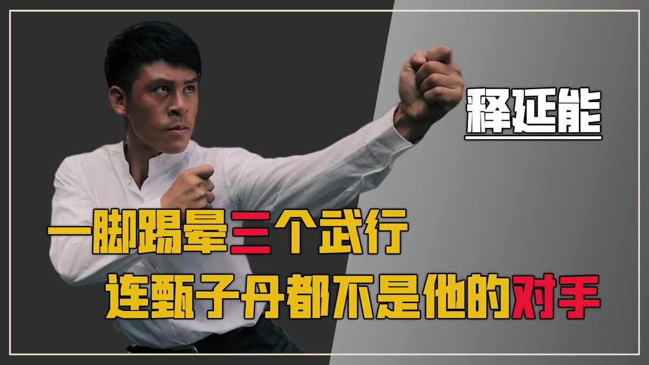 释延能:我一脚踢晕三个,甄子丹不是我的对手,交手后却原形毕露