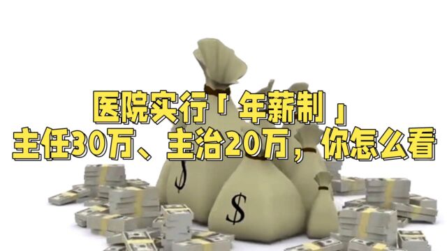 医院实行「年薪制」,主任30万、主治20万,你怎么看?