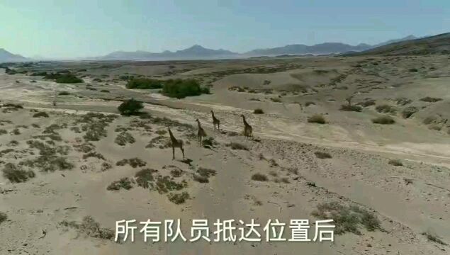 国外影视:在伊朗战场上的美军小队(下)