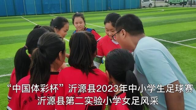 “中国体彩杯”沂源县2023年中小学生足球赛沂源县第二实验小学女足风采 沂源县第二实验小学 王方川 田臻 审核 程万增 发布