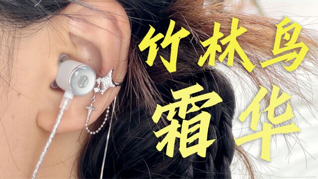 售价89,音质却媲美X百元耳机!竹林鸟霜华体验