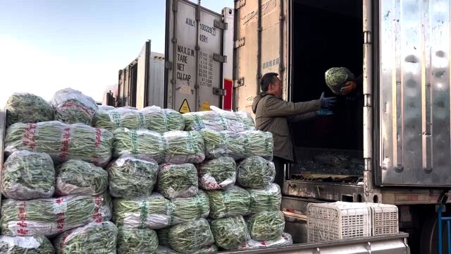 视频|北京新发地南方菜大量上市,豆角成“当家菜”