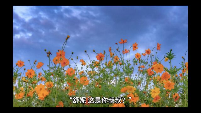 《炙吻红玫瑰,大佬被惹得小鹿乱撞》舒妮周今衡小说全文TXT