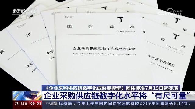 企业采购供应链数字化成熟度模型