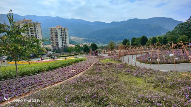 20230710 美丽漳州游:长泰十里蓝山、小黄山,平和高峰谷、林语堂故居,南靖田中赋,云霄将军山、云顶温泉,龙海蜗牛村、鹭凯.山清水秀,景色宜...