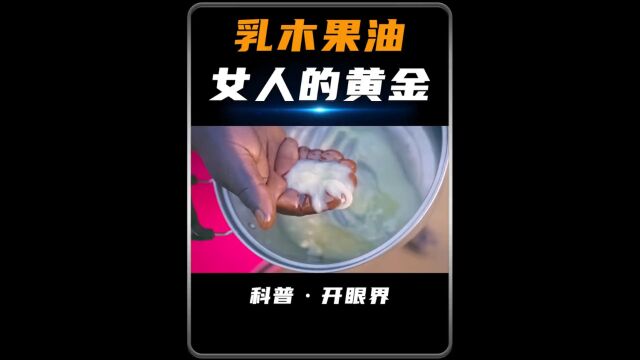 凭什么乳木果油被称为女人的黄金,它又是如何得来的