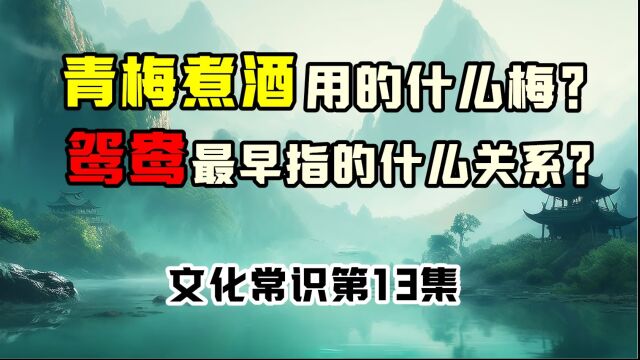 “青梅煮酒”用的是什么梅?“鸳鸯”最早指的是什么关系?