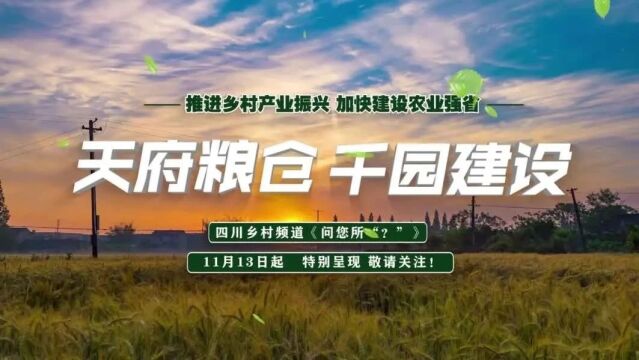 问您所“?” | 雅安天全:打造“智慧渔场” 建设数字渔业基地