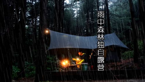 雨中森林独自露营 自驾来到森林营地 搭建天幕帐篷布置装备 独自听雨放松制作美食 享受大自然中的静谧时光~