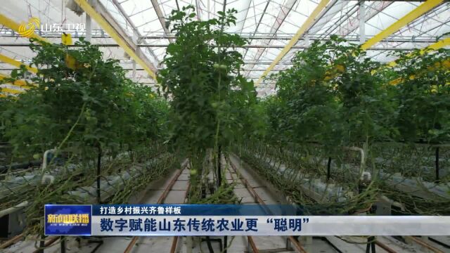 打造乡村振兴齐鲁样板|数字赋能山东传统农业更“聪明”