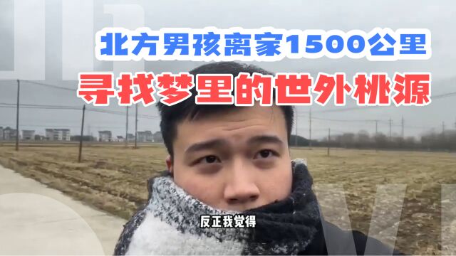 北方男孩离家1500公里寻找幸福,在上海兴塔找到了梦里的世外桃源