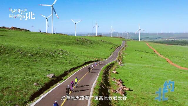 这么近,那么美,周末到河北 | 河北文旅携多彩石家庄走进天津旅游宣传推介活动成功举办