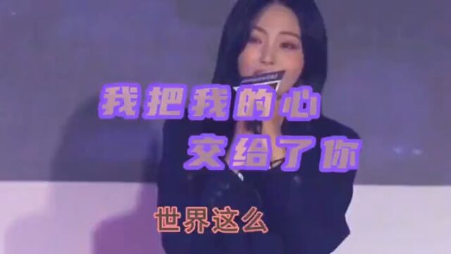 我把我的心交给了你