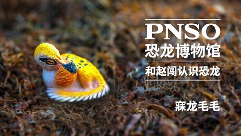 第40集寐龙毛毛_第40集寐龙毛毛_少儿_动画片大全_腾讯视频