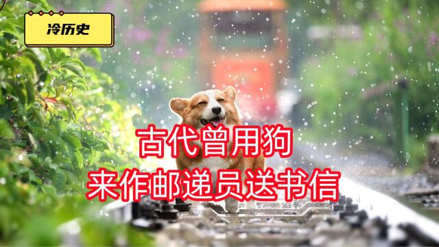 狗驿传书:古代曾用狗来作邮递员送书信