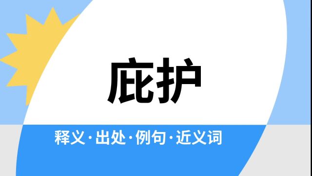 “庇护”是什么意思?