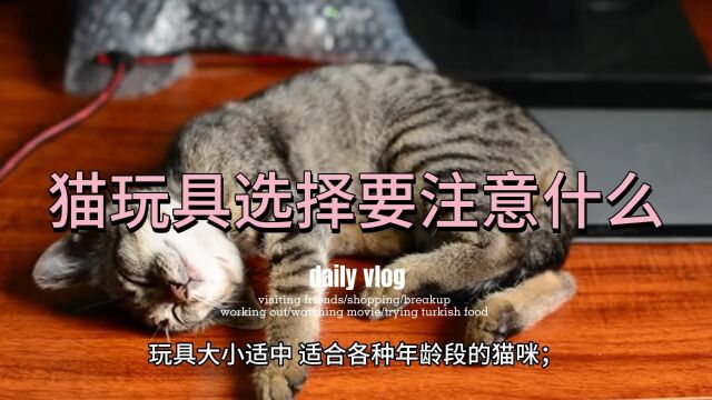 猫玩具选择要注意什么?