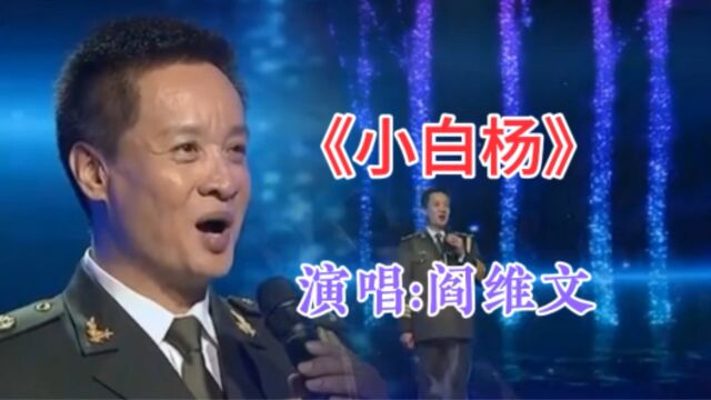 阎维文 演唱《小白杨》,旋律欢快,歌甜情深.