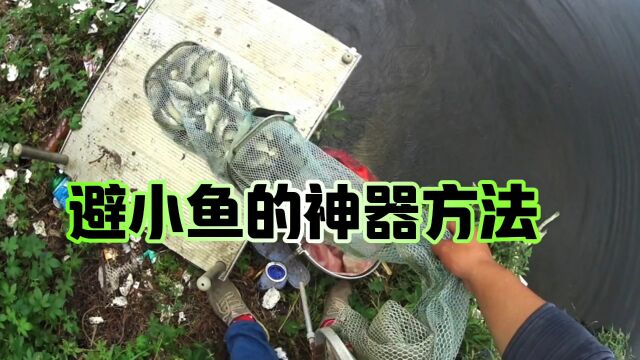 小杂鱼闹钩怎么办?这种既简单又有效的方法,您值得拥有