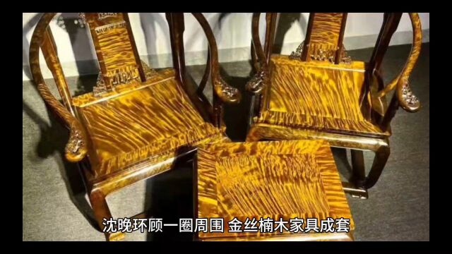 《穿书后,男主对她偏执入骨》沈晚全文在线阅读【完整版】