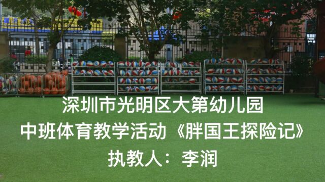 深圳市光明区大第幼儿园李润老师课例