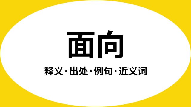 “面向”是什么意思?