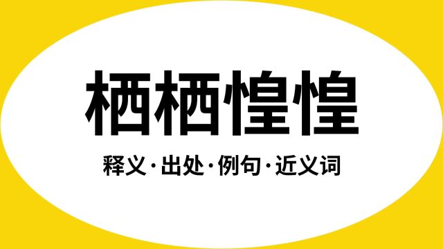 “栖栖惶惶”是什么意思?