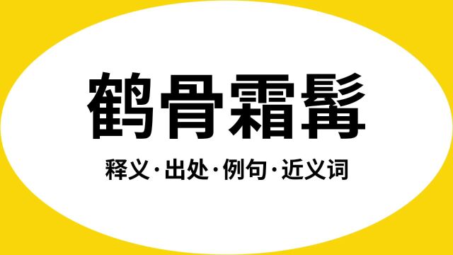 “鹤骨霜髯”是什么意思?