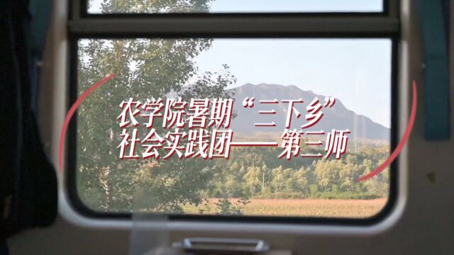 【小队ⷧ𚪥€‘青春力量汇棉田 乡村振兴焕生机 — — 石河子大学农学院赴三师纤油饲多功能型棉花品种鉴定科技支农社会实践团队