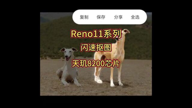 Reno11系列闪速抠图,实现了更快速自由的抠图体验