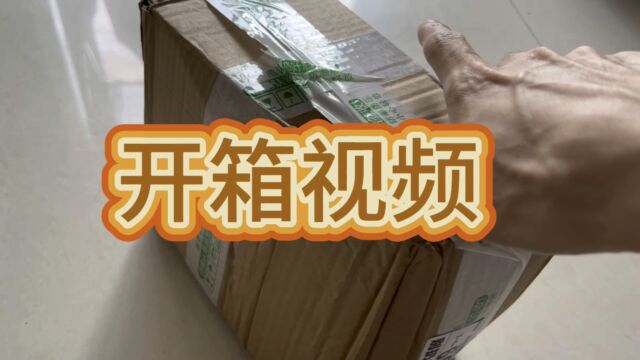 【草龟】家里鱼不够吃了 买点泥鳅 给龟养膘