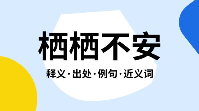 “栖栖不安”是什么意思?