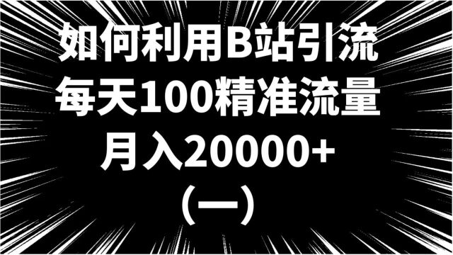 项目拆解,利用B站引流每天100精准流量,零基础月入超过20000+