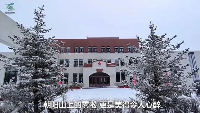 黑河朝阳山景区千林雾凇如梦似幻