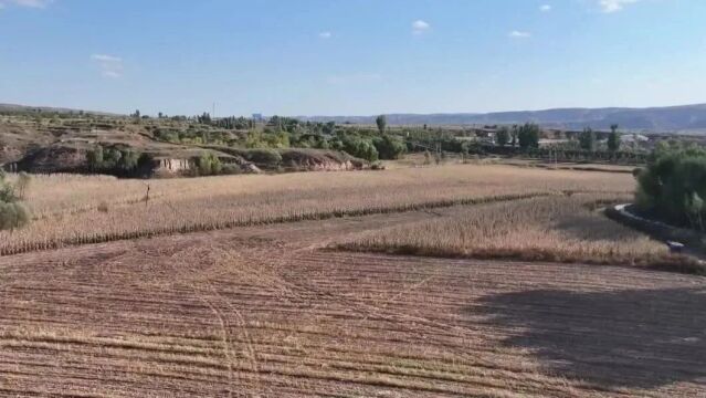 保护黄土地 推进农业可持续发展