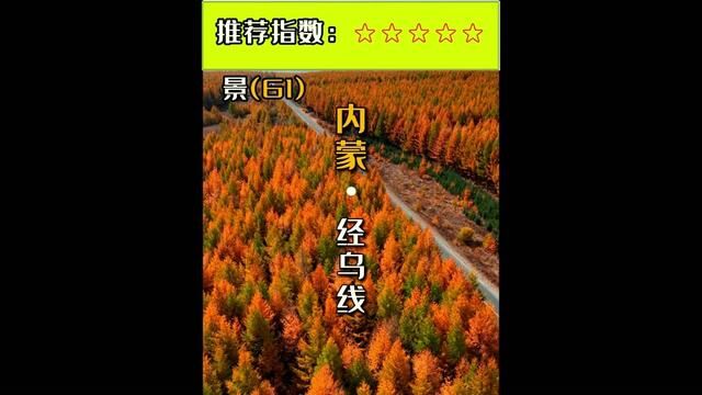 第61集|乌兰布统是一个充满魅力的旅游目的地,无论是自然风光还是文化体验,都能让游客留下深刻的印象.