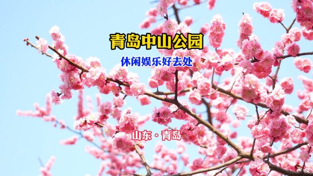 青岛不能错过的景点!中山公园游玩攻略,请查收