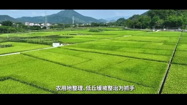 云安区获得优秀等次!云浮市美丽镇村建设第三轮竞赛结果出炉