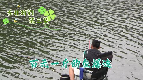游钓东北第三集，上百元一斤的鱼也太好钓啦，下竿一小时狂拉爆连