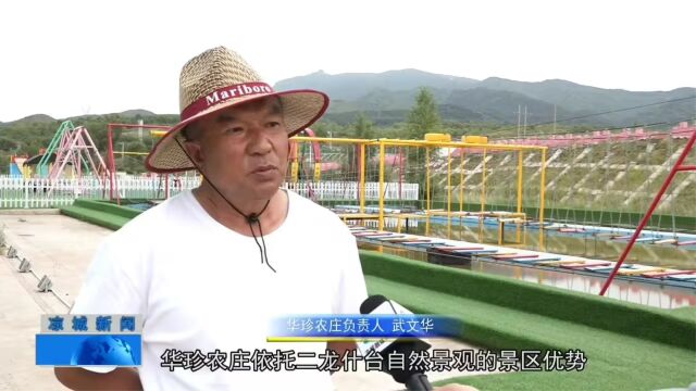 华珍农庄老板: 让乡村旅游带动农民共同发展