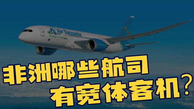 非洲有哪些航空公司拥有宽体客机?