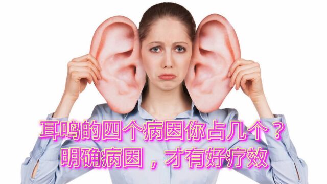 耳鸣是什么原因引起的,好治吗?首先来明确下病因吧