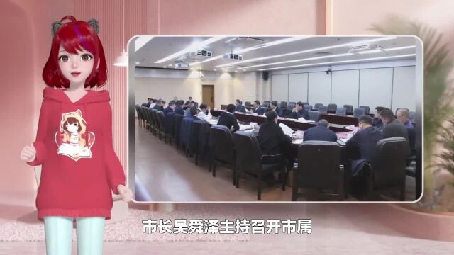 吴舜泽主持召开市属国资国企改革座谈会