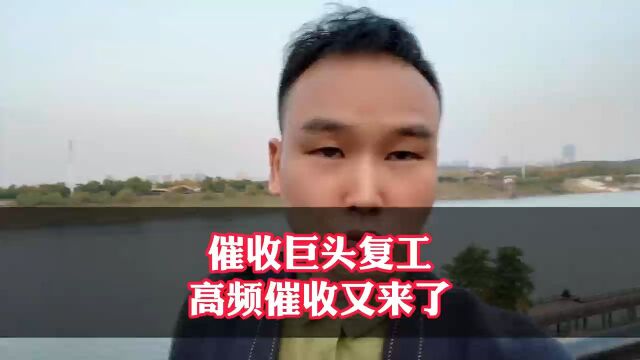 催收巨头复工,高频催收又来啦!教你怎样应对