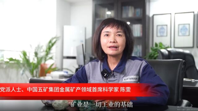 统战人ⷥŒ心力|点“石”成金 “矿工”陈雯的“矿世”情缘