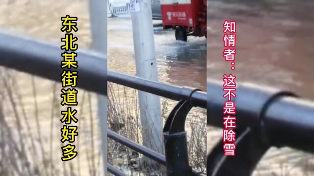 东北某街道水好多