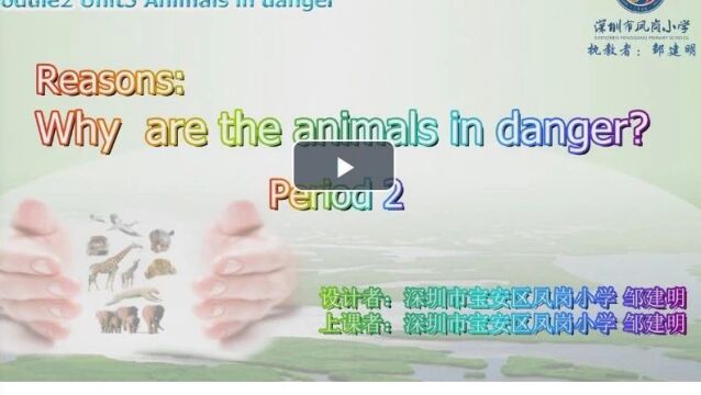 【小英优质课】牛津深圳版六年级上册Unit5 Animals in danger 公开课