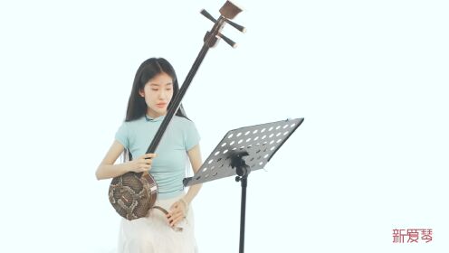 新爱琴三弦视频公益课 第02集 持琴&演奏方式